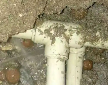 虎丘测漏水多少钱