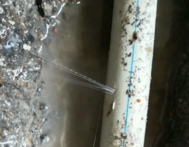 虎丘测漏水哪家好