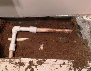 虎丘测漏水哪家好