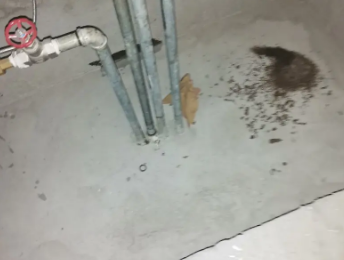 虎丘卫生间测漏水价格明细