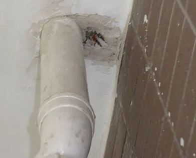 虎丘漏水检测哪家好